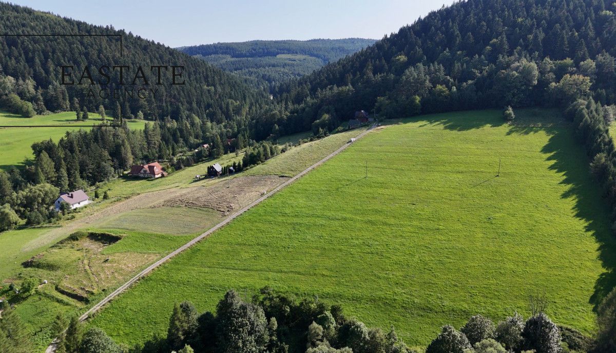 Działka inwestycyjna Kamianna. Zdjęcie 4