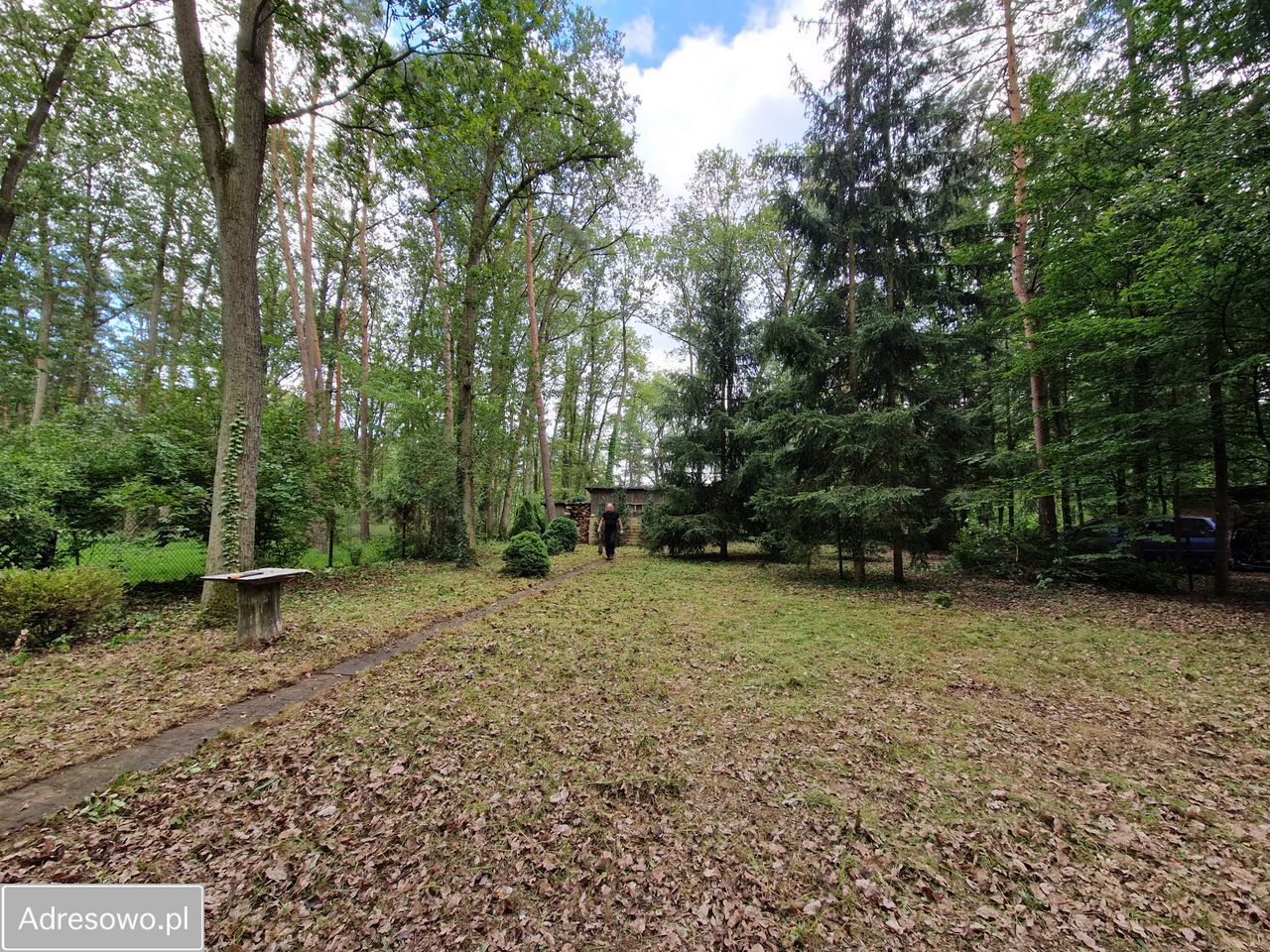 Działka rekreacyjna Sokolniki-Las, ul. Krańcowa. Zdjęcie 2