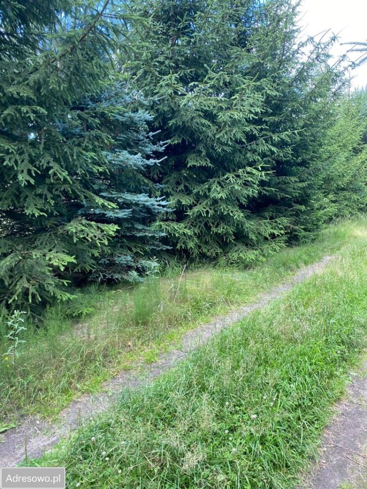 Działka budowlana Tleń. Zdjęcie 8