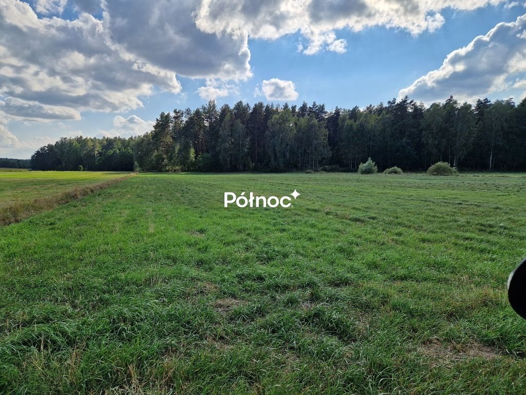 Działka leśna Krynickie. Zdjęcie 10