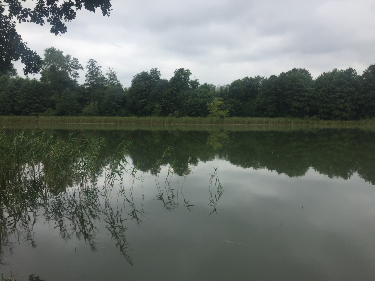 Działka budowlana Jarczechowo. Zdjęcie 10