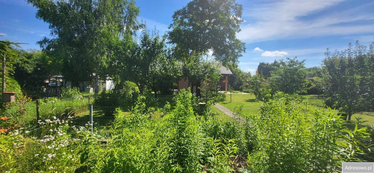 Działka rod Elbląg, ul. Warszawska. Zdjęcie 12