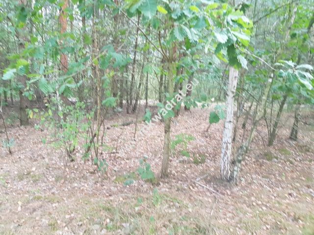 Działka budowlana Nowe Budy. Zdjęcie 2