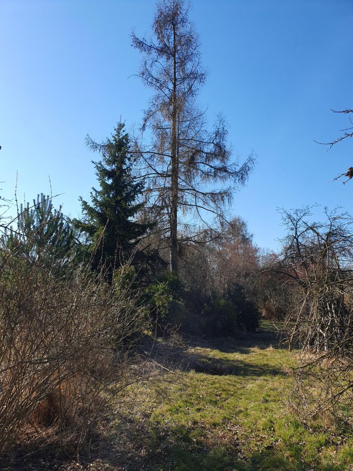 Działka budowlana Zabrze Mikulczyce, ul. Leśna. Zdjęcie 2