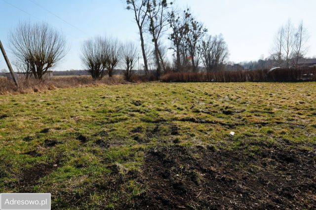 Działka budowlana Dębina. Zdjęcie 1
