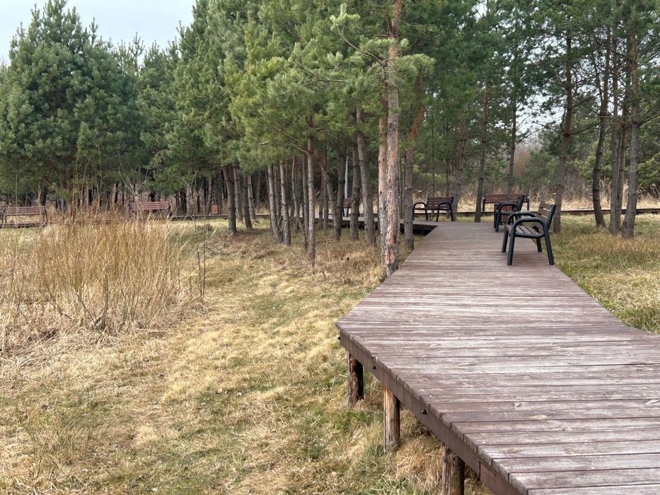 Działka inwestycyjna Łączna Stawik. Zdjęcie 4