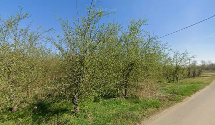 Działka rolna Machów Czupel, Machów