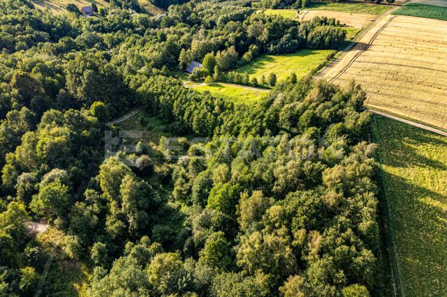 Działka rolna Nowy Borek. Zdjęcie 11