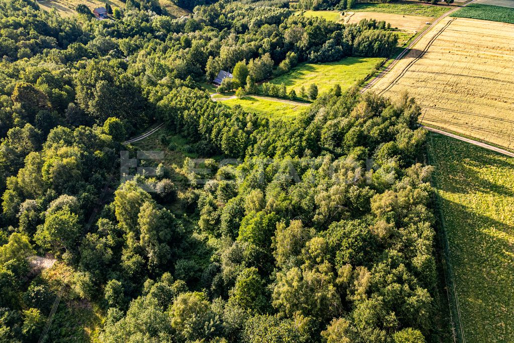 Działka rolna Nowy Borek. Zdjęcie 11