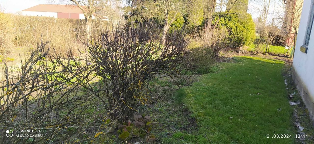 Działka siedliskowa Tuchanie. Zdjęcie 2