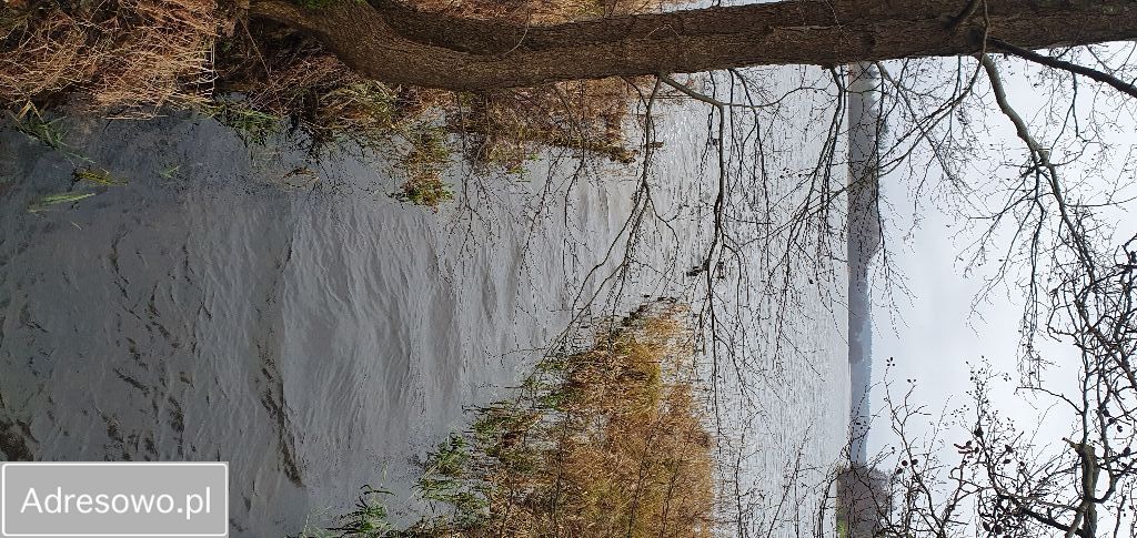 Działka budowlana Sominy, ul. Słoneczna. Zdjęcie 4