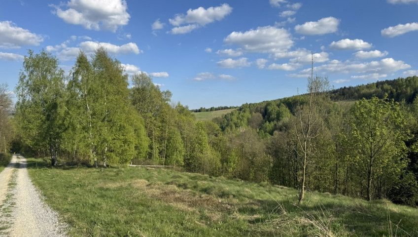 Działka rolno-budowlana Kamieńczyk. Zdjęcie 8