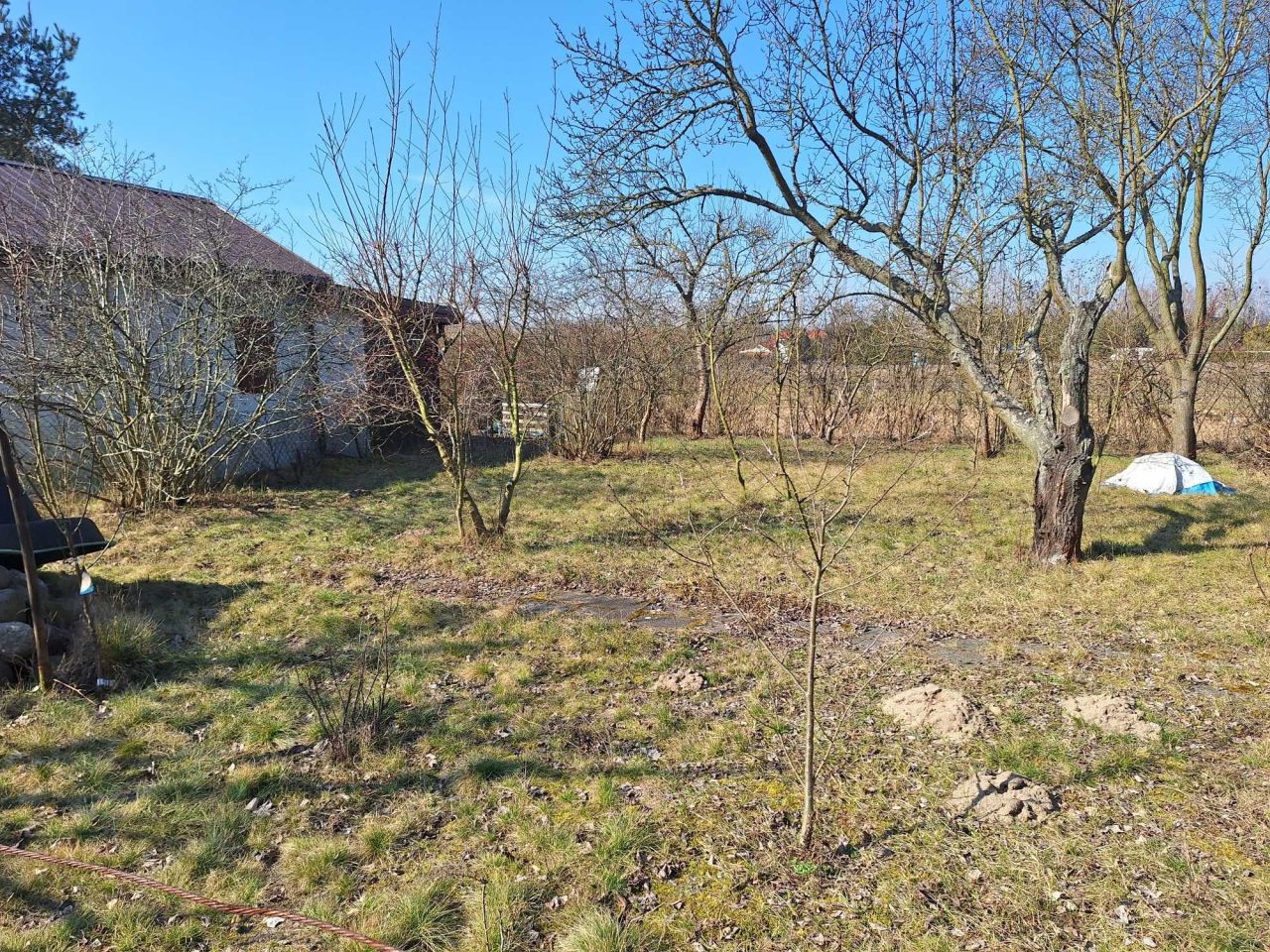 Działka rekreacyjna Wilków