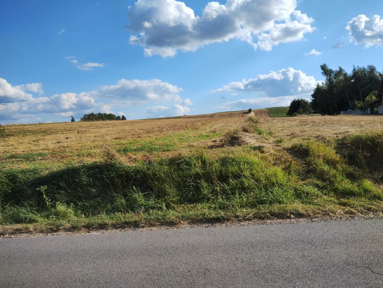 Działka rolno-budowlana Imbramowice. Zdjęcie 3