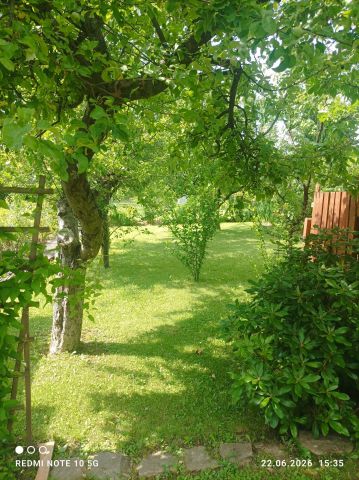 Działka rod Głuchołazy Kolonia Jagiellońska. Zdjęcie 1