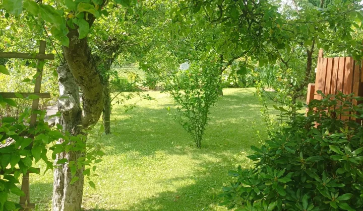Działka rod Głuchołazy Kolonia Jagiellońska