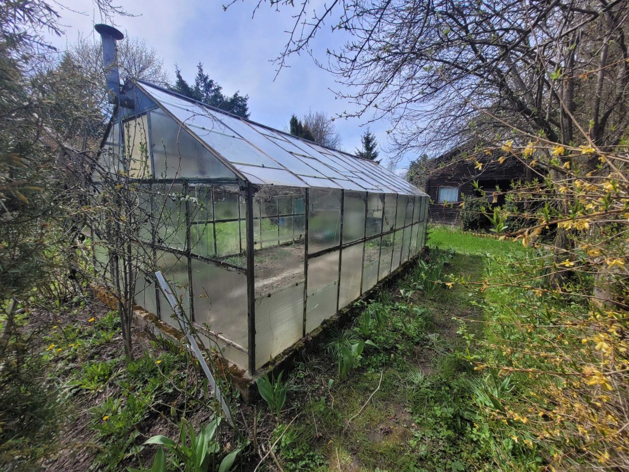 Działka rod Kamienna Góra. Zdjęcie 4