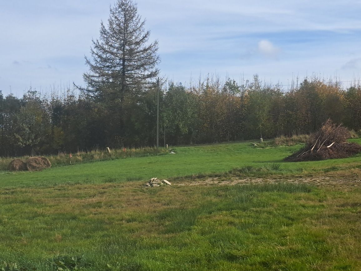 Działka budowlana Kopaniec. Zdjęcie 6
