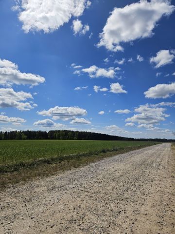 bliźniak, 3 pokoje Borowy Młyn. Zdjęcie 20