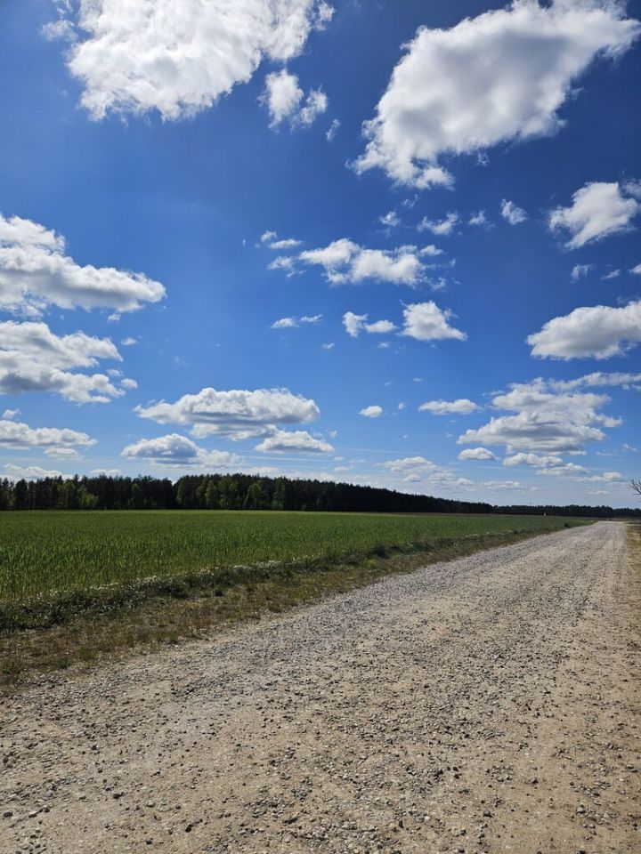 bliźniak, 3 pokoje Borowy Młyn. Zdjęcie 20