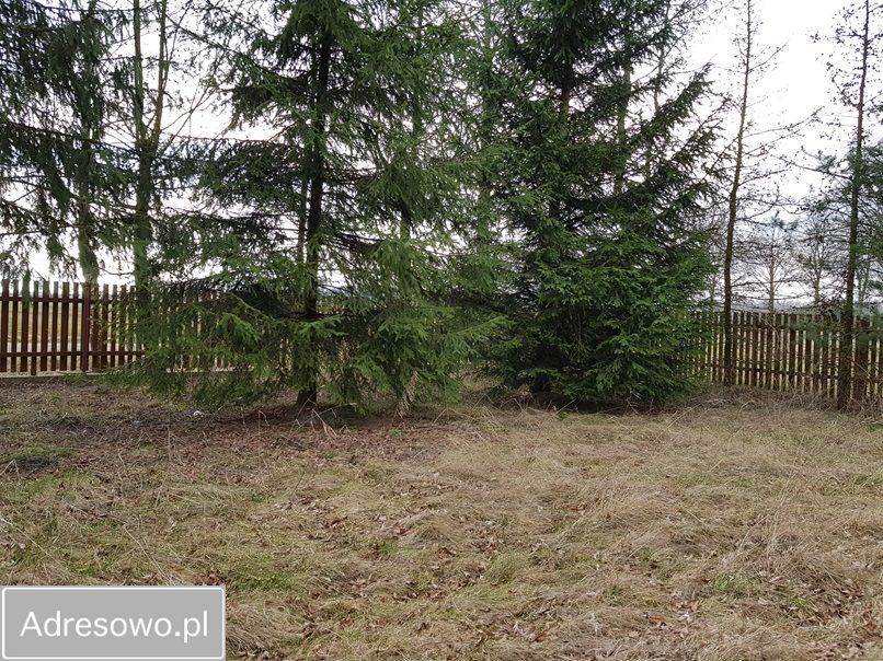 Działka rolna Ossówno. Zdjęcie 8