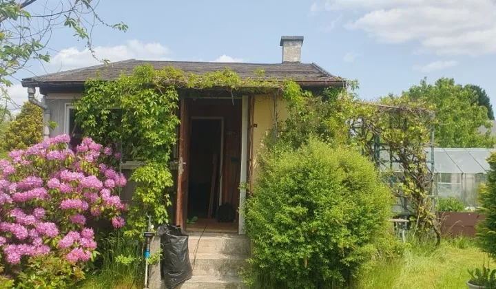 Działka rod Gdynia Babie Doły, ul. Zielona