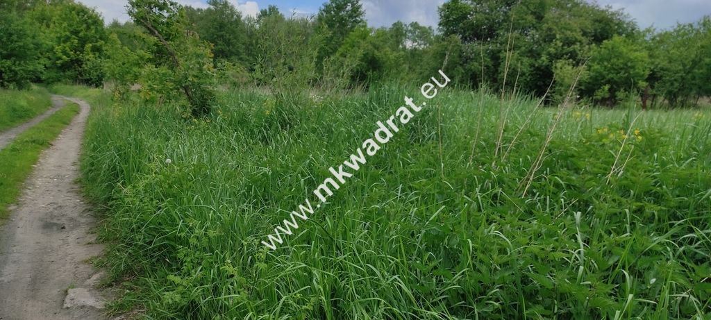 Działka budowlana Wólka. Zdjęcie 3