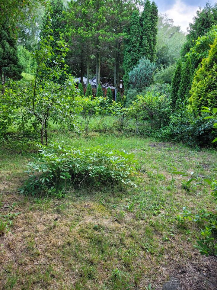 Działka rod Łódź Widzew, ul. Pszczyńska. Zdjęcie 7