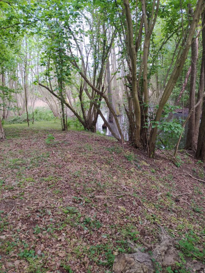 Działka budowlana Gronów. Zdjęcie 8