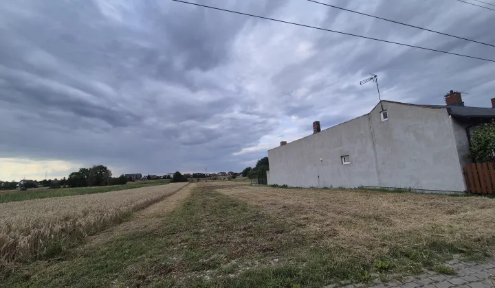 Działka rolno-budowlana Wola Moszczenicka, ul. Rolna