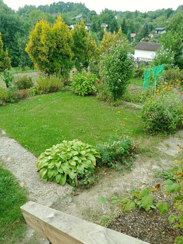 Działka rod Jastrzębie-Zdrój, ul. Stodoły. Zdjęcie 7