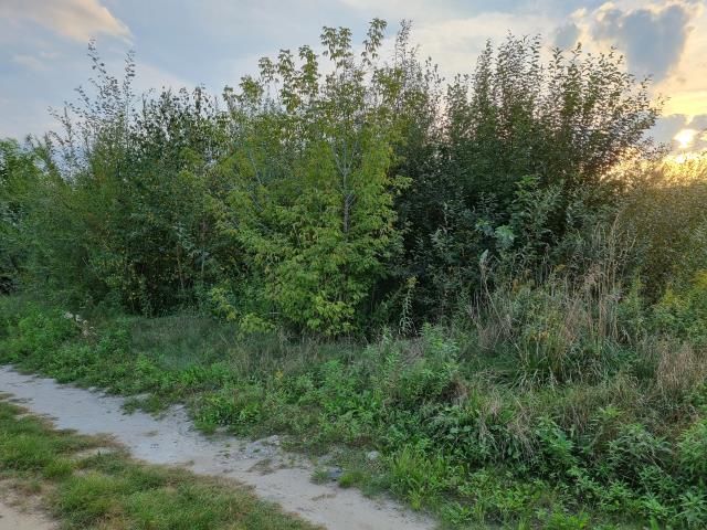 Działka budowlana Zaborówek. Zdjęcie 6