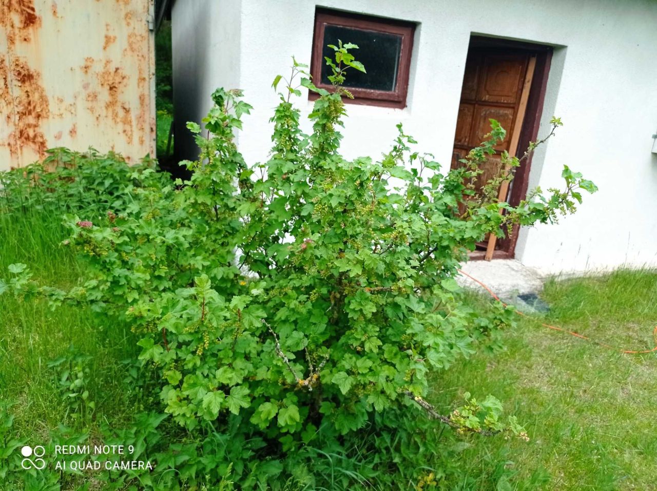 Działka budowlana Nowa Wieś. Zdjęcie 4