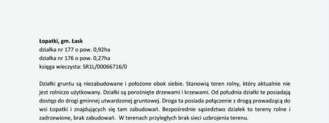 Działka rolna Łopatki. Zdjęcie 1