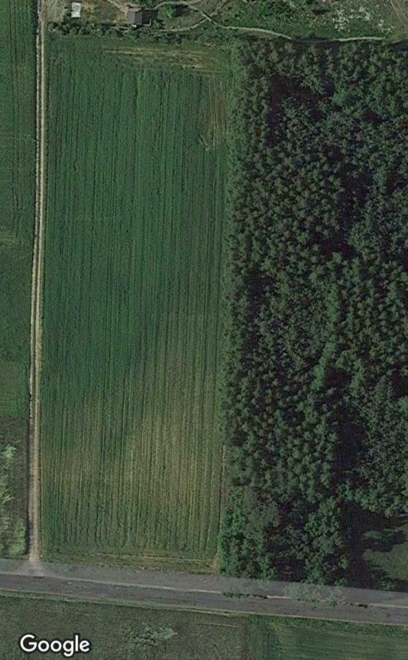 Działka budowlana Maliszewo. Zdjęcie 2