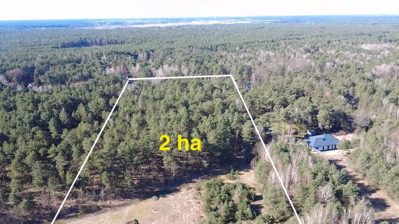 Działka budowlana Radzymin Rejentówka, ul. Zygmunta Wróblewskiego. Zdjęcie 6