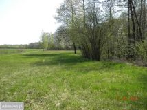 Działka rolna Nowy Dworek. Zdjęcie 4