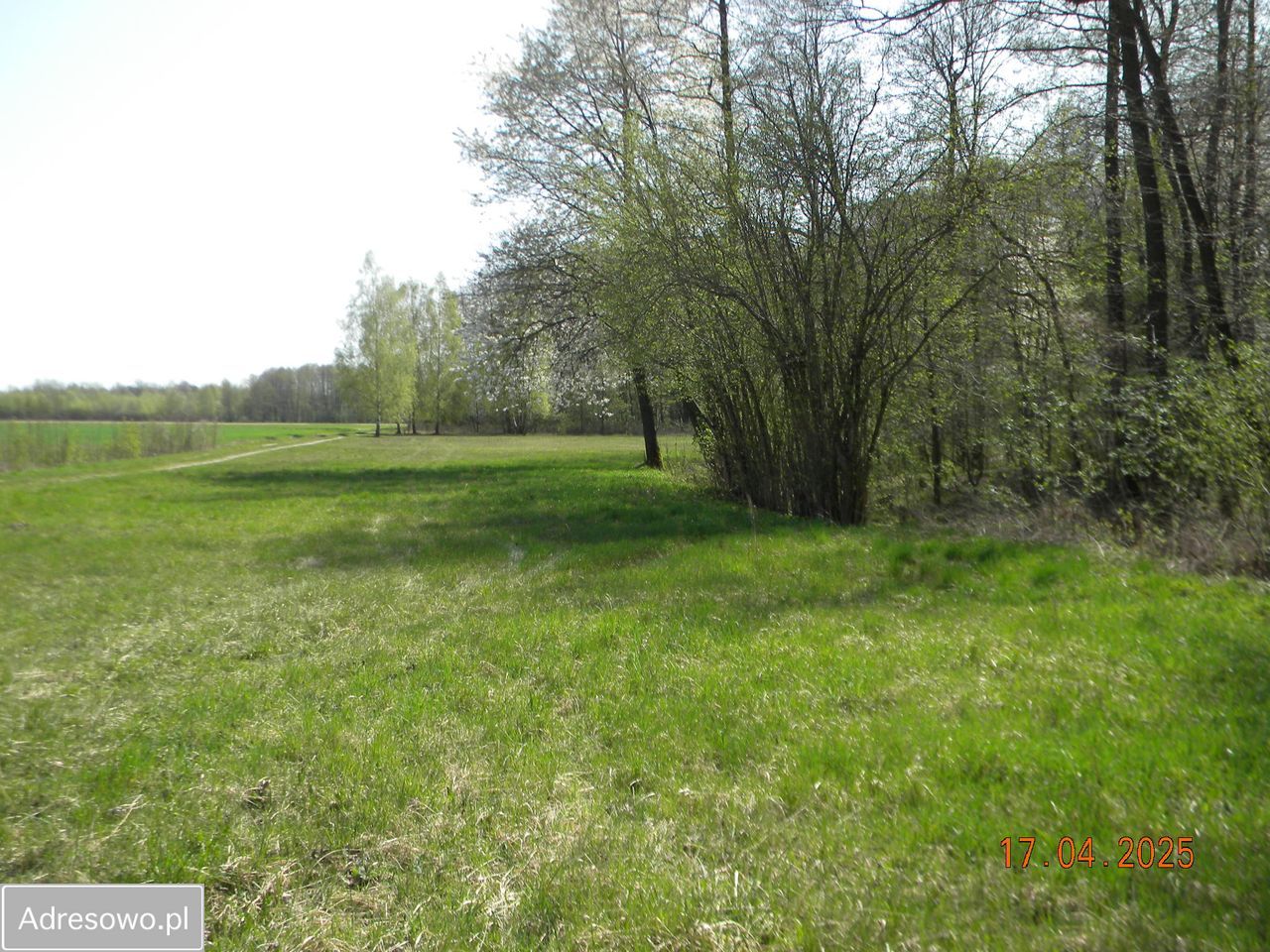 Działka rolna Nowy Dworek. Zdjęcie 5