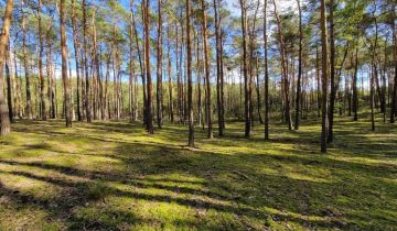 Działka leśna Myszakówek