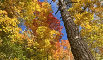 dom wolnostojący Szymanowo