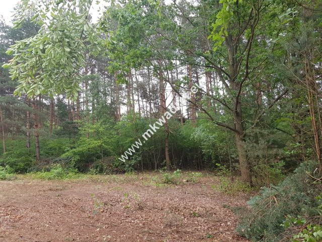 Działka budowlana Musuły. Zdjęcie 6