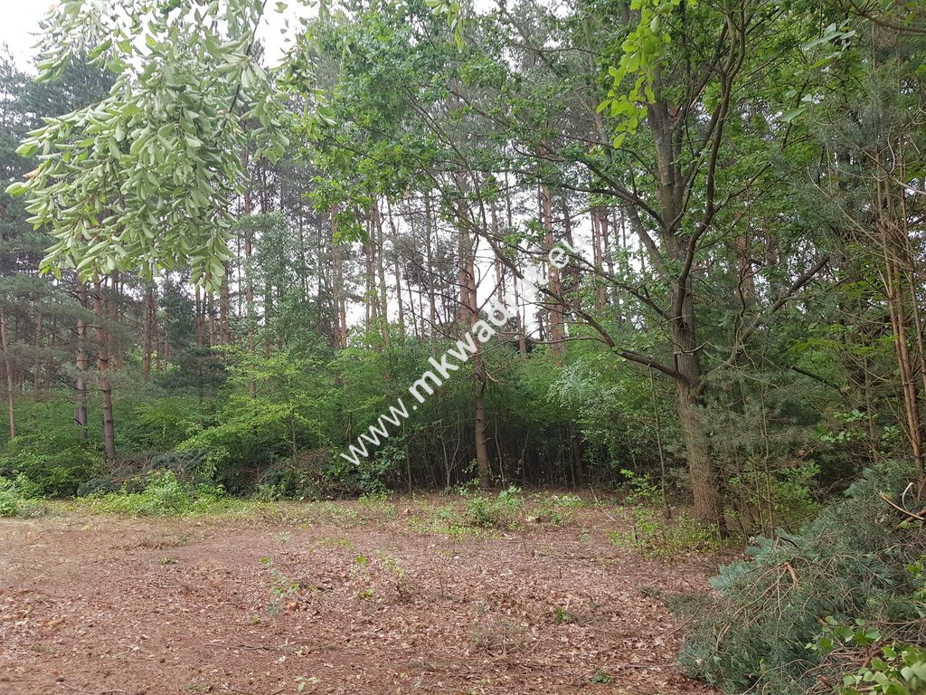 Działka budowlana Musuły. Zdjęcie 6