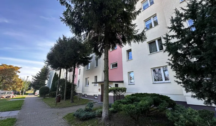 Mieszkanie 3-pokojowe Ciechanów, ul. Armii Krajowej