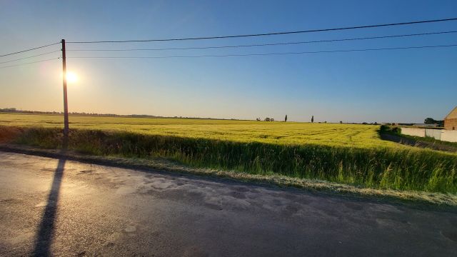 Działka rolno-budowlana Konary. Zdjęcie 9