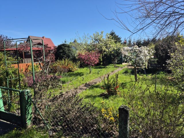 Działka rekreacyjna Białogard. Zdjęcie 1