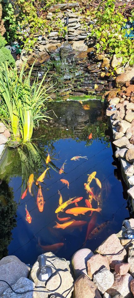 Działka rod Czeladź Kolonia Małobądz, ul. Szpitalna. Zdjęcie 2