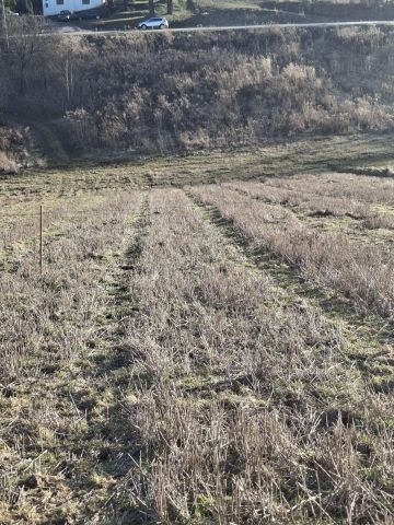 Działka budowlana Kozierów, ul. Lipowa. Zdjęcie 4