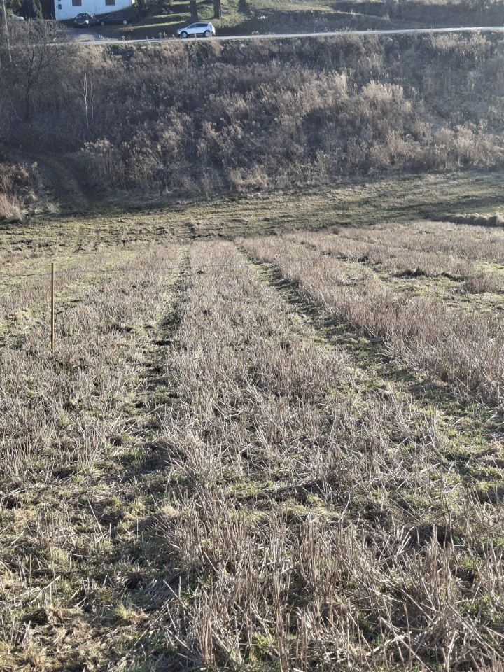 Działka budowlana Kozierów, ul. Lipowa. Zdjęcie 4