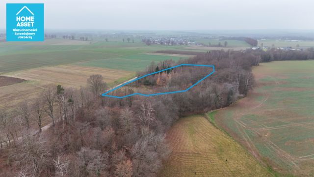Działka budowlana Werblinia, ul. Leśna. Zdjęcie 12