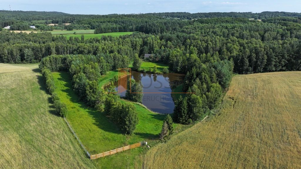 Działka siedliskowa Grabowska Huta. Zdjęcie 3